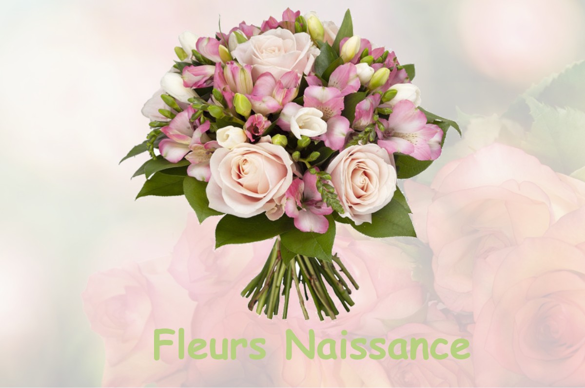 fleurs naissance FLEURY-LES-AUBRAIS