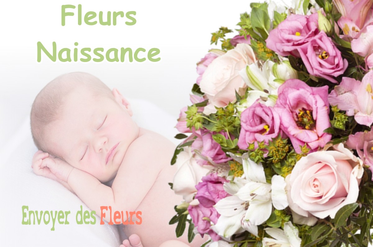 lIVRAISON FLEURS NAISSANCE à FLEURY-LES-AUBRAIS